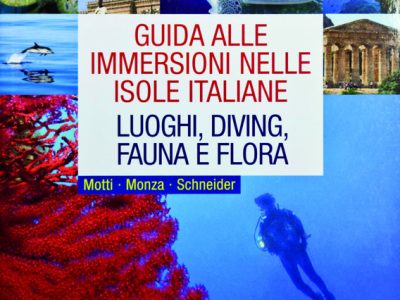 Guida alle immersioni nelle isole italiane.