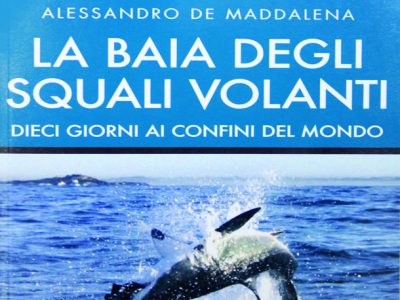 La baia degli squali volanti