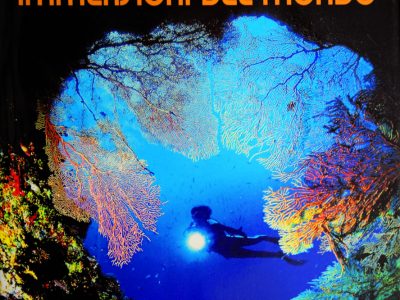 Le migliori immersioni del mondo