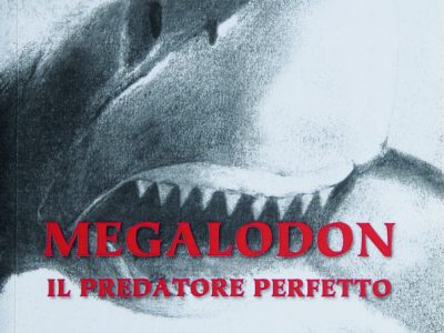Megalodon, il predatore perfetto