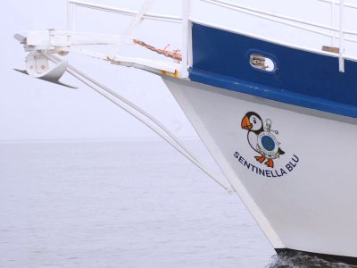 LNI: prosegue la missione del motoveliero “Sentinella Blu”